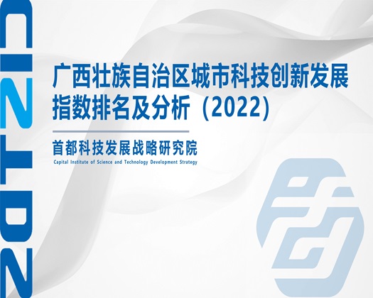 操女人肉穴視頻【成果发布】广西壮族自治区城市科技创新发展指数排名及分析（2022）